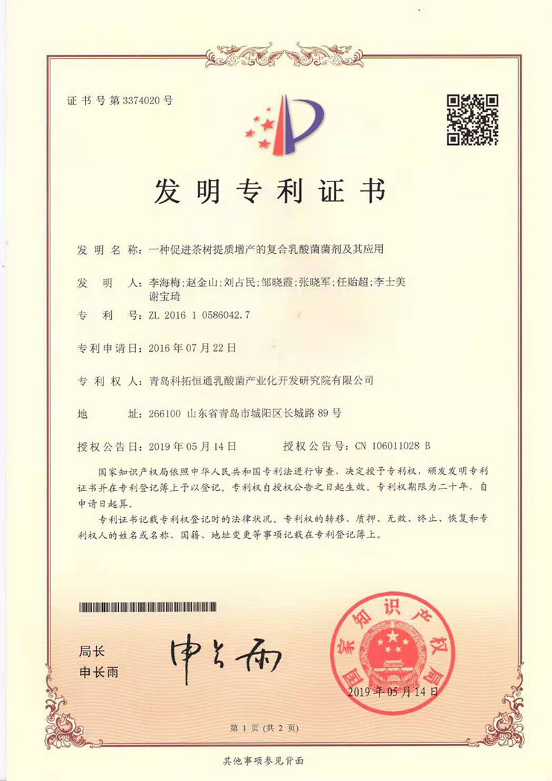 一種促進茶樹提質增產的復合乳酸菌菌劑及其應用